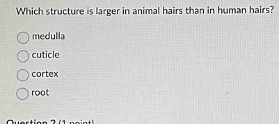 Which structure is larger in animal hairs than in human hairs?
medulla
cuticle
cortex
root