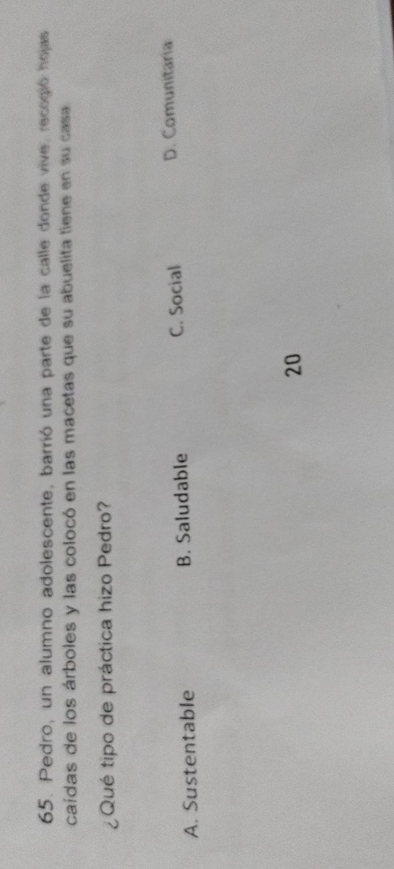 Pedro, un alumno adolescente, barrió una parte de la calle donde vive, recogió hojas
caídas de los árboles y las colocó en las macetas que su abuelita tiene en su casa
¿Qué tipo de práctica hizo Pedro?
A. Sustentable B. Saludable
C. Social D. Comunitaria
20