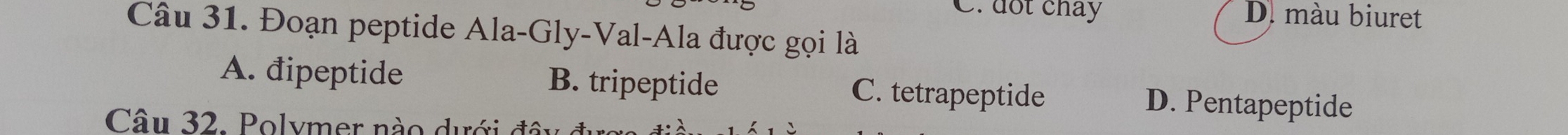 dot chảy D. màu biuret
Câu 31. Đoạn peptide Ala-Gly-Val-Ala được gọi là
A. đipeptide B. tripeptide C. tetrapeptide D. Pentapeptide
Câu 32. Polymer nào dưới đâi