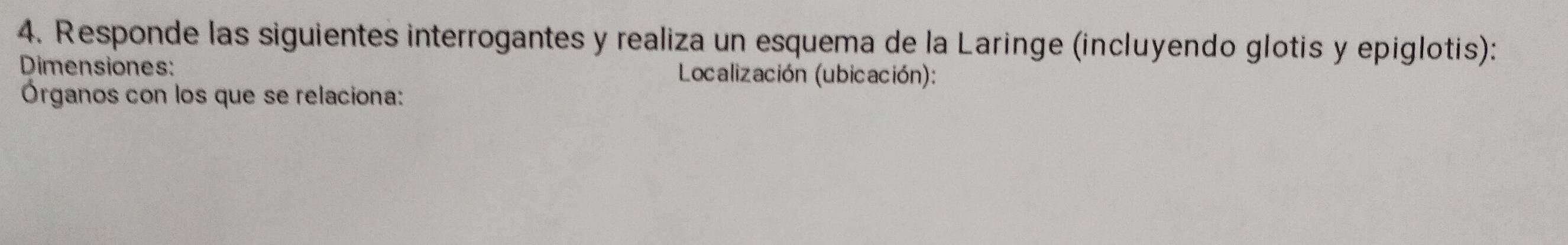 Responde las siguientes interrogantes y realiza un esquema de la Laringe (incluyendo glotis y epiglotis): 
Dimensiones: Localización (ubicación): 
Órganos con los que se relaciona: