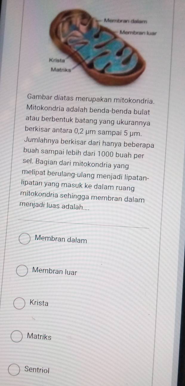 Gambar diatas merupakan mitokondria. 
Mitokondria adalah benda-benda bulat 
atau berbentuk batang yang ukurannya 
berkisar antara 0,2 μm sampai 5 μm. 
Jumlahnya berkisar dari hanya beberapa 
buah sampai lebih dari 1000 buah per 
sel. Bagian dari mitokondria yang 
melipat berulang-ulang menjadi lipatan- 
lipatan yang masuk ke dalam ruang 
mitokondria sehingga membran dalam 
menjadi luas adalah.... 
Membran dalam 
Membran luar 
Krista 
Matriks 
Sentriol