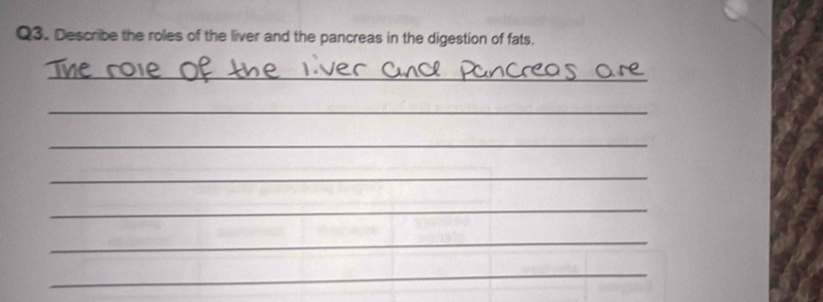 Describe the roles of the liver and the pancreas in the digestion of fats. 
_ 
_ 
_ 
_ 
_ 
_ 
_