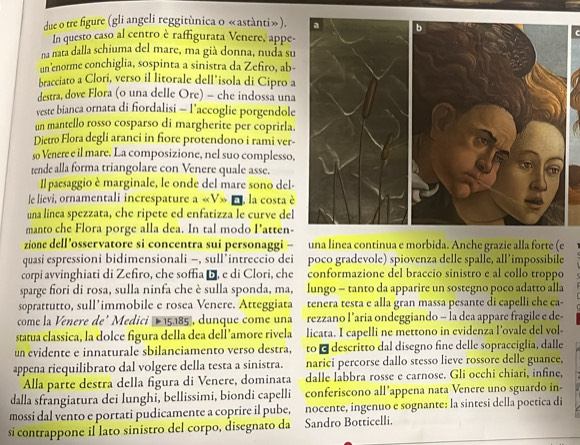 due o tre figure (gli angeli reggitùnica o «astànti»).
In questo caso al centro è raffigurata Venere, appe-
na natá dalla schiuma del mare, ma già donna, nuda su
un 'enorme conchiglia, sospinta a sinistra da Zefiro, ab
bracciato a Clori, verso il litorale dell’isola di Cipro a
destra, dove Flora (o una delle Ore) - che indossa un
veste bianca ornata di fiordalisi - l’accoglie porgendole
un mantello rosso cosparso di margherite per coprirla
Dietro Flora degli aranci in fore protendono i rami ver-
so Venere e il mare. La composizione, nel suo complesso
tende alla forma triangolare con Venere quale asse.
Il paesaggio è marginale, le onde del mare sono del-
le lievi, ornamentali increspature a «V» E, la costa è
una linea spezzata, che ripete ed enfatizza le curve del
manto che Flora porge alla dea. In tal modo Patten-
zione dell 'osservatore si concentra sui personaggi - una linea continua e morbida. Anche grazie alla forte (e
quasi espressioni bidimensionali —, sull’intreccio dei poco gradevole) spiovenza delle spalle, all’impossibile
corpi avvinghiati di Zefiro, che soffia D, e di Clori, che conformazione del braccio sinistro e al collo troppo
sparge fori di rosa, sulla ninfa che è sulla sponda, ma, lungo - tanto da apparire un sostegno poco adatto alla
soprattutto, sull’immobile e rosea Venere. Atteggiata tenera testa e alla gran massa pesante di capelli che ca-
come la Venere de’ Medici  15185, dunque come una rezzano l’aria ondeggiando - la dea appare fragile e de-
statua classica, la dolce figura della dea dell’amore rivela licata. I capelli ne mettono in evidenza l’ovale del vol-
un evidente e innaturale sbilanciamento verso destra, to - descritto dal disegno fine delle sopracciglia, dalle
appena riequilibrato dal volgere della testa a sinistra. narici percorse dallo stesso lieve rossore delle guance,
Alla parte destra della figura di Venere, dominata dalle labbra rosse e carnose. Gli occhi chiari, infine,
dalla sfrangiatura dei lunghi, bellissimi, biondi capelli conferiscono all’appena nata Venere uno sguardo in-
mossi dal vento e portati pudicamente a coprire il pube, nocente, ingenuo e sognante: la sintesi della poetica di
si contrappone il lato sinistro del corpo, disegnato da Sandro Botticelli.