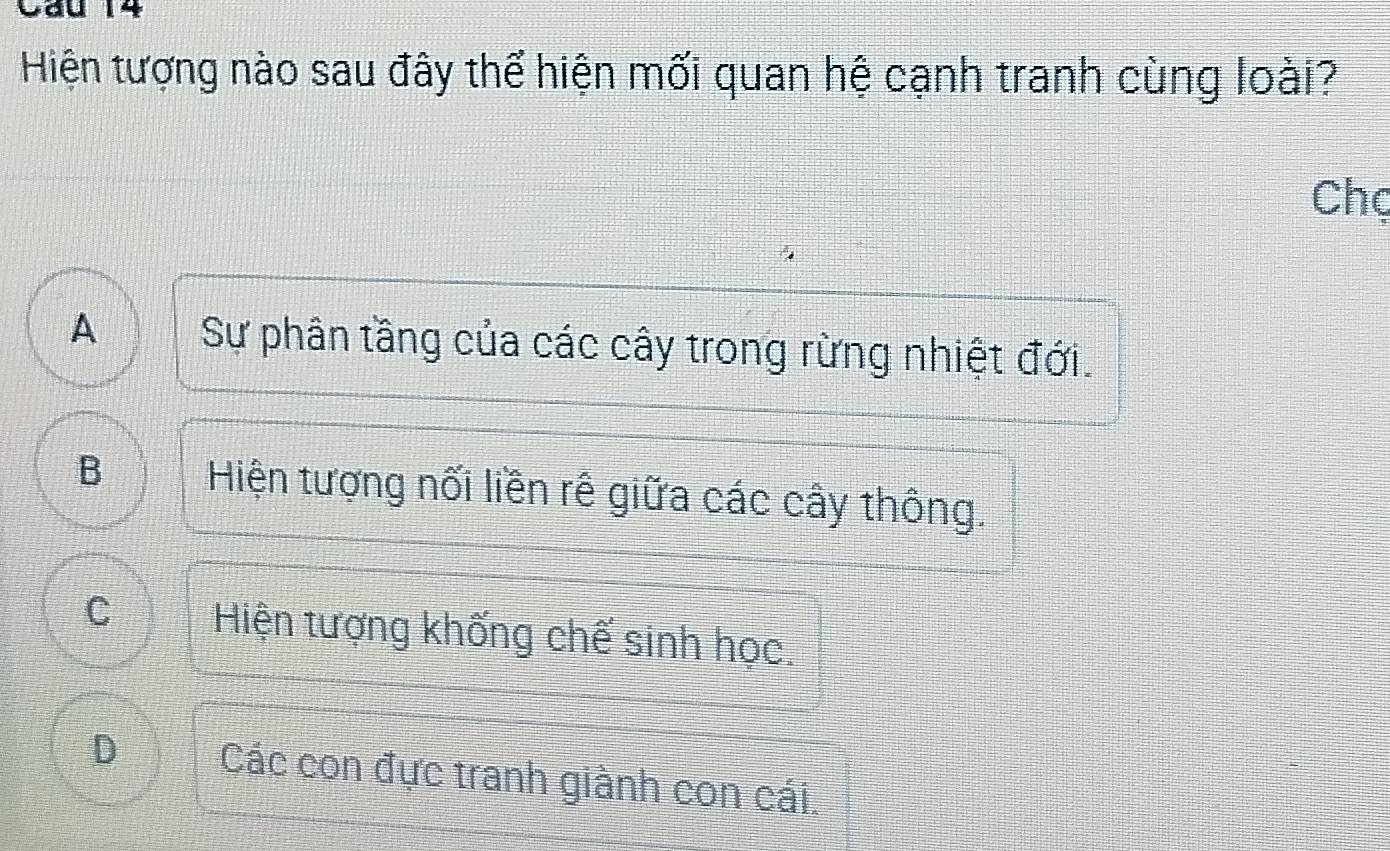 Cầu 14
Hiện tượng nào sau đây thể hiện mối quan hệ cạnh tranh cùng loài?
Chọ
A Sự phân tầng của các cây trong rừng nhiệt đới.
B Hiện tượng nối liền rê giữa các cây thông.
C Hiện tượng khống chế sinh học.
D Các con đực tranh giành con cái.