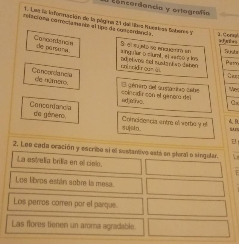 a concordancia y ortografía 
1. Lee la información de la página 21 del libro Nuestros Saberes y 3. Compl 
relaciona correctamente el tipo de concordancia. 
Concordancia 
adjetivo 
Si el sujeto se encuentra en 
de persona. 
Susta 
singular o plural, el verbo y los 
adjetivos del sustantivo deben 
Perro 
coincidir con él. 
Concordancia 
Casa 
de número. El género del sustantivo debe Mes 
coincidir con el género del 
adjetivo. Ga 
Concordancia 
de género. Coincidencia entre el verbo y el 4.R 
sujeto. sus 
EI 
2. Lee cada oración y escribe si el sustantivo está en plural o singular. La 
La estrella brilla en el cielo. 
Los libros están sobre la mesa. 
Los perros corren por el parque. 
Las flores tienen un aroma agradable.