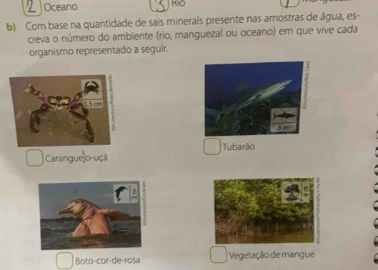 Oceano
b) Com base na quantidade de sais minerais presente nas amostras de água, es-
creva o número do ambiente (rio, manguezal ou oceano) em que vive cada
organismo representado a seguir.
Tubarão
Caranguejo-uçá
Boto-cor-de-rosa Vegetação de mangue