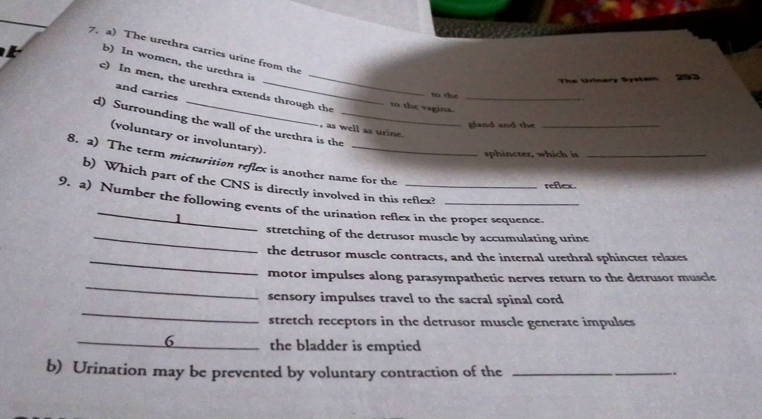 The urethra carries urine from the 
b) In women, the urethra is 
The Urinary System 293
c) In men, the urethra extends through the 
and carries 
to the_ 
to the vagina. 
d) Surrounding the wall of the urethra is the_ 
gland and the_ 
, as well as urine. 
(voluntary or involuntary). 
sphincter, which is_ 
8. a) The term micturition reflex is another name for the 
b) Which part of the CNS is directly involved in this reflex? 
reflex. 
9. a) Number the following events of the urination reflex in the proper sequence. 
1 
_stretching of the detrusor muscle by accumulating urine 
_ 
the detrusor muscle contracts, and the internal urethral sphincter relaxes 
_ 
motor impulses along parasympathetic nerves return to the detrusor muscle 
_ 
sensory impulses travel to the sacral spinal cord 
stretch receptors in the detrusor muscle generate impulses 
__6 
the bladder is emptied 
b) Urination may be prevented by voluntary contraction of the_ 
.、