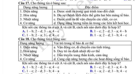 Cho thông tin ở bảng sau:
Khi nổi các thông tin ở cột A và cột B, cách nổi nào dưới đây là hợp lí?
A. 1 - b; 2-d; 3-a; 4-c B. 1-c; 2-d; 3-a; 4-b
C. 1 -b; 2-a; 3-d; 4-c D. 1-a; 2-d; 3-b; 4-c
Khi nổi các thông tin ở cột A và cột B, cách nổi nào dưới đây là hợp lí?
A. 1-b; 2-d; 3-a; 4-c B. 1-c; 2-d; 3-a; 4-b
C. 1-c; 2-d; 3-b; 4-a D. 1-a; 2-d; 3-b; 4-c