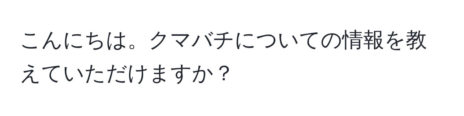 こんにちは。クマバチについての情報を教えていただけますか？