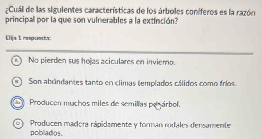 ¿Cuál de las siguientes características de los árboles coníferos es la razón
principal por la que son vulnerables a la extinción?
Elija 1 respuesta:
A No pierden sus hojas aciculares en invierno.
B) Son abúndantes tanto en climas templados cálidos como fríos.
do Producen muchos miles de semillas penárbol.
Producen madera rápidamente y forman rodales densamente
poblados.