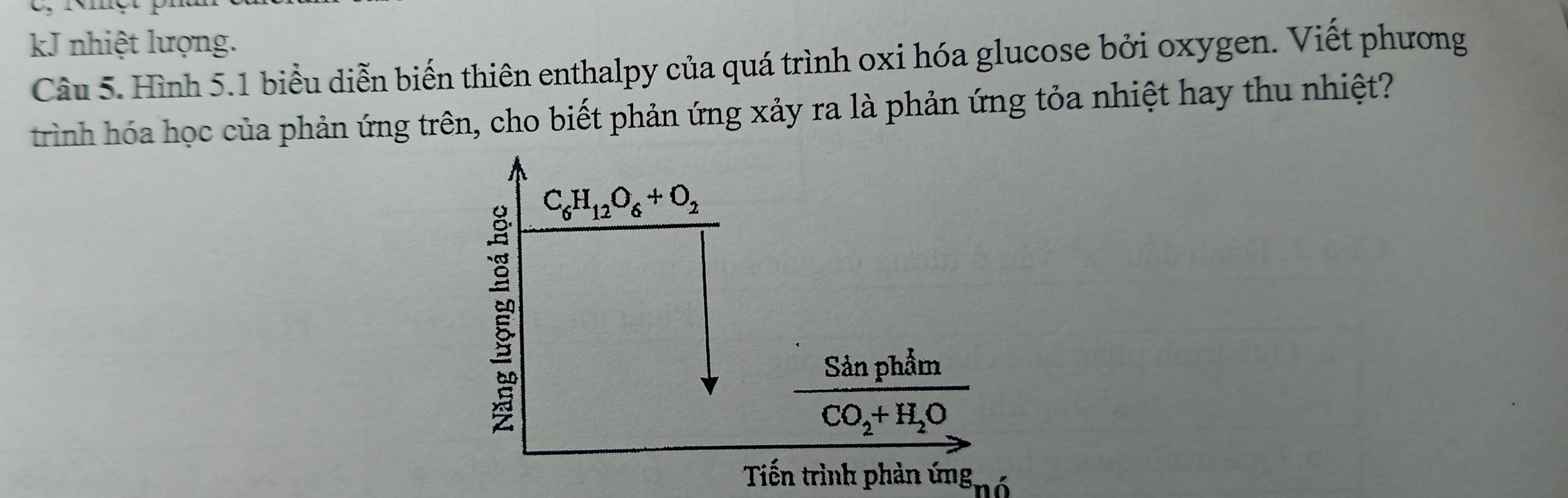 kJ nhiệt lượng. 
Câu 5. Hình 5.1 biểu diễn biến thiên enthalpy của quá trình oxi hóa glucose bởi oxygen. Viết phương 
trình hóa học của phản ứng trên, cho biết phản ứng xảy ra là phản ứng tỏa nhiệt hay thu nhiệt?
C_6H_12O_6+O_2
Sản phẩm
CO_2+H_2O
Tiến trình phản ứ ng g