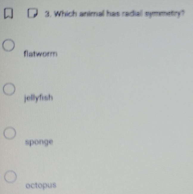 Which animal has radial symmetry?
flatworm
jellyfish
sponge
octopus