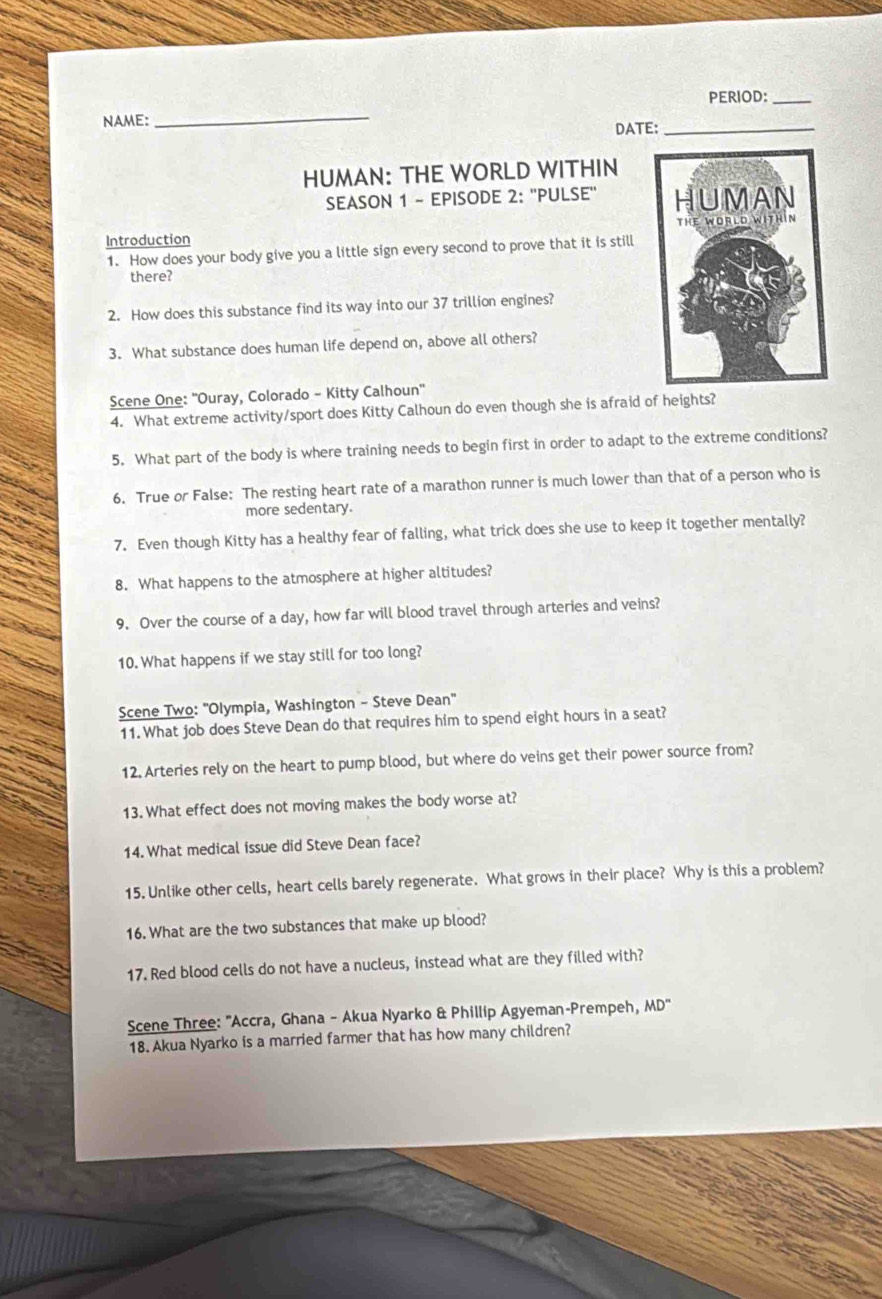PERIOD:_ 
NAME: 
_ 
DATE:_ 
HUMAN: THE WORLD WITHIN 
SEASON 1 - EPISODE 2: ''PULSE'' 
Introduction 
1. How does your body give you a little sign every second to prove that it is still 
there? 
2. How does this substance find its way into our 37 trillion engines? 
3. What substance does human life depend on, above all others? 
Scene One: 'Ouray, Colorado - Kitty Calhoun'' 
4. What extreme activity/sport does Kitty Calhoun do even though she is afraid of heights? 
5. What part of the body is where training needs to begin first in order to adapt to the extreme conditions? 
6. True or False: The resting heart rate of a marathon runner is much lower than that of a person who is 
more sedentary. 
7. Even though Kitty has a healthy fear of falling, what trick does she use to keep it together mentally? 
8. What happens to the atmosphere at higher altitudes? 
9. Over the course of a day, how far will blood travel through arteries and veins? 
10. What happens if we stay still for too long? 
Scene Two: "Olympia, Washington - Steve Dean" 
11. What job does Steve Dean do that requires him to spend eight hours in a seat? 
12. Arteries rely on the heart to pump blood, but where do veins get their power source from? 
13. What effect does not moving makes the body worse at? 
14. What medical issue did Steve Dean face? 
15. Unlike other cells, heart cells barely regenerate. What grows in their place? Why is this a problem? 
16. What are the two substances that make up blood? 
17. Red blood cells do not have a nucleus, instead what are they filled with? 
Scene Three: "Accra, Ghana - Akua Nyarko & Phillip Agyeman-Prempeh, MD'' 
18. Akua Nyarko is a married farmer that has how many children?