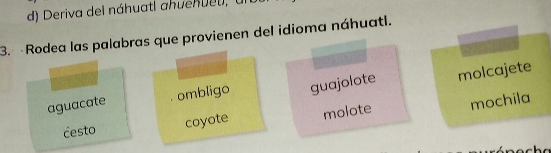 Deriva del náhuatl ahuehuetl, u
3. Rodea las palabras que provienen del idioma náhuatl.
aguacate ombligo
guajolote
molcajete
mochila
cesto
coyote
molote