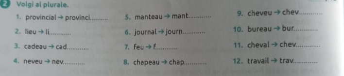 Volgi al plurale. 
1. provincial →provinci_ 5. manteau → mant_ 9. cheveu chev_ 
2. lieu → li_ 6. journal→ journ_ 10. bureau bur._ 
3. cadeau → cad._ 7. feu → f._ 11. cheval chev._ 
4. neveu → nev_ 8. chapeau → chap_ 12. travail→ trav_