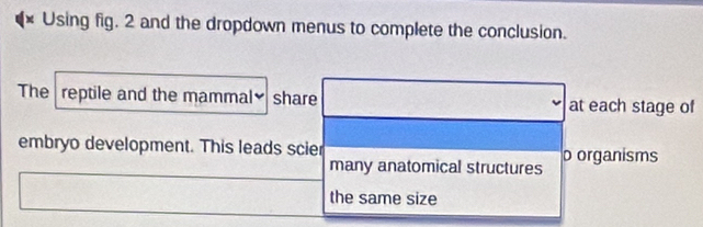 × Using fig. 2 and the dropdown menus to complete the conclusion.
The reptile and the mammal≌ share at each stage of
embryo development. This leads scier p organisms
many anatomical structures
the same size