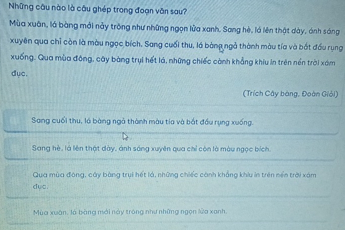 Những câu nào là câu ghép trong đoạn văn sau?
Mùa xuân, lá bàng mới nảy trông như những ngọn lửa xanh. Sang hè, lá lên thật dày, ánh sáng
xuyên qua chỉ còn là màu ngọc bích. Sang cuối thu, lá bàng ngả thành màu tía và bắt đầu rụng
xuống. Qua mùa đông, cây bàng trụi hết lá, những chiếc cành khẳng khiu in trên nền trời xám
đục.
(Trích Cây bàng, Đoàn Giỏi)
Sang cuối thu, lá bàng ngả thành màu tía và bắt đầu rụng xuống.
Sang hè, lá lên thật dày, ánh sáng xuyên qua chỉ còn là màu ngọc bích.
Qua mùa đông, cây bàng trụi hết lá, những chiếc cành khẳng khiu in trên nền trời xám
dục.
Mùa xuân, là bàng mới này trong như những ngọn lửa xanh,