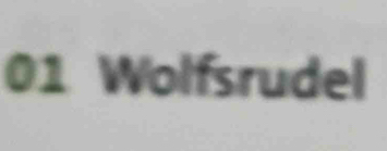 Wolfsrudel