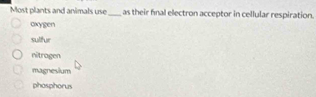 Most plants and animals use _as their fnal electron acceptor in cellular respiration.
axygen
sulfur
nitragen
magnesium
phosphorus