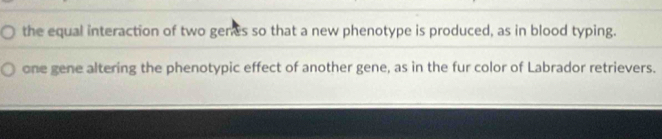 the equal interaction of two genes so that a new phenotype is produced, as in blood typing. 
one gene altering the phenotypic effect of another gene, as in the fur color of Labrador retrievers.