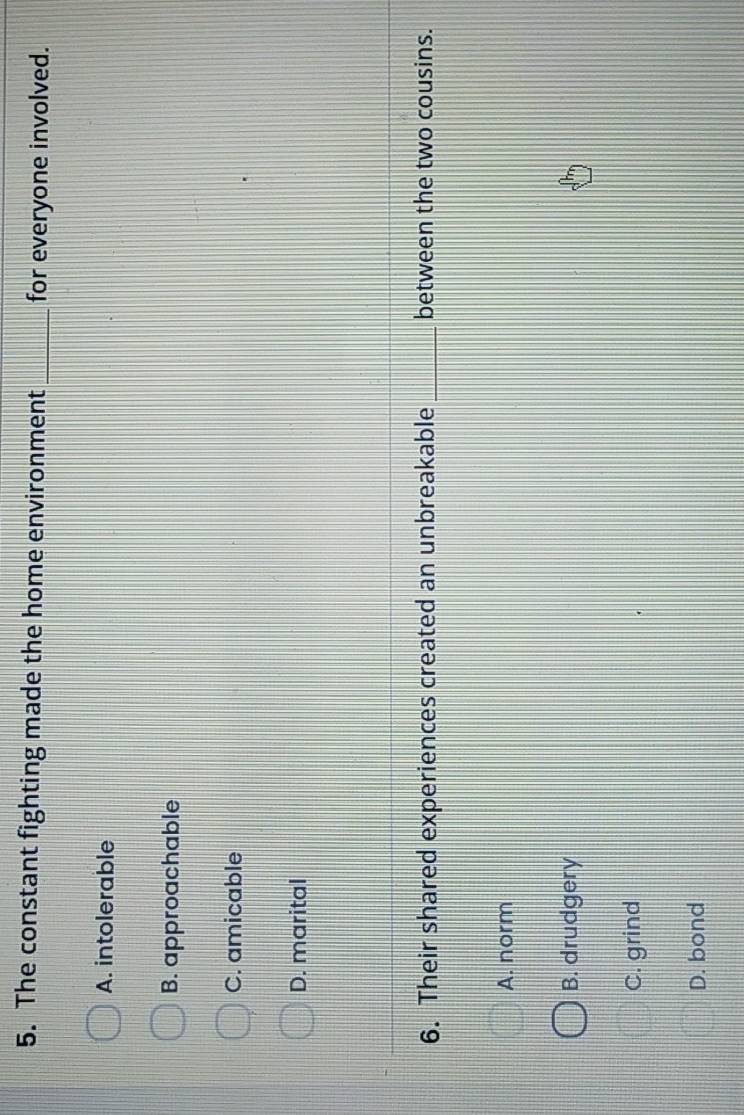 The constant fighting made the home environment _for everyone involved.
A. intolerable
B. approachable
C. amicable
D. marital
6. Their shared experiences created an unbreakable _between the two cousins.
A. norm
B. drudgery
C. grind
D. bond