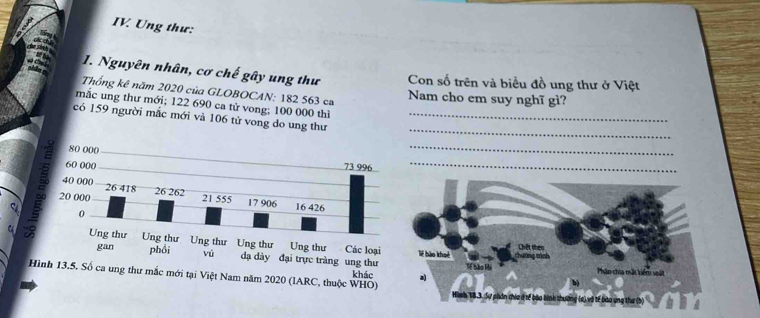 IV Ung thư: 
1. Nguyên nhân, cơ chế gây ung thư Con số trên và biểu đồ ung thư ở Việt 
Thống kê năm 2020 của GLOBOCAN: 182 563 ca 
Nam cho em suy nghĩ gì? 
mắc ung thư mới; 122 690 ca tử vong; 100 000 thì 
_ 
có 159 người mắc mới và 106 tử vong do ung thư_ 
_ 
_ 
C 


Hhư mắc mới tại Việt Nam năm 2020 (lARC, thuộc WHO) 
khác