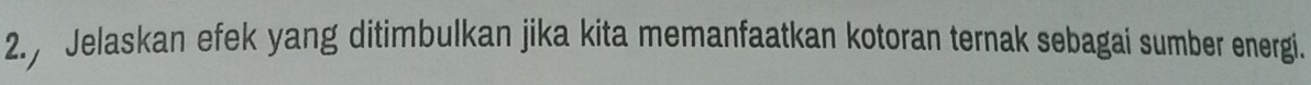 2.7 Jelaskan efek yang ditimbulkan jika kita memanfaatkan kotoran ternak sebagai sumber energi.