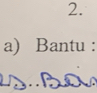 Bantu : 
a