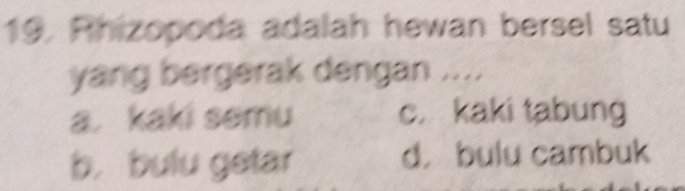 Rhizopoda adalah hewan bersel satu
yang bergerak dengan ....
a. kaki semu c. kaki tabung
b. bulu getar
d. bulu cambuk