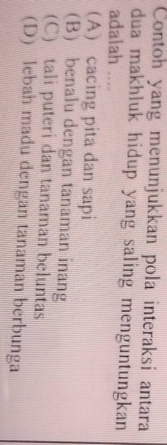Contoh yang menunjukkan pola interaksi antara
dua makhluk hidup yang saling menguntungkan .
adalah ....
(A) cacing pita dan sapi
(B) benalu dengan tanaman iang
(C) talı puterı dan tanaman beluntas
(D) lebah madu dengan tanaman berbunga