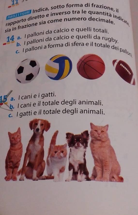 11 3
L UR Indica, sotto forma di frazione, il
rapporto diretto e inverso tra le quantità indicate,
sia in frazione sia come numero decimale.
14 a. I palloni da calcio e quelli totali.
b. I palloni da calcio e quelli da rugby.
c. I palloni a forma di sfera e il totale dei pallon
15 a. l cani e i gatti.
b. l cani e il totale degli animali.
c. I gatti e il totale degli animali.