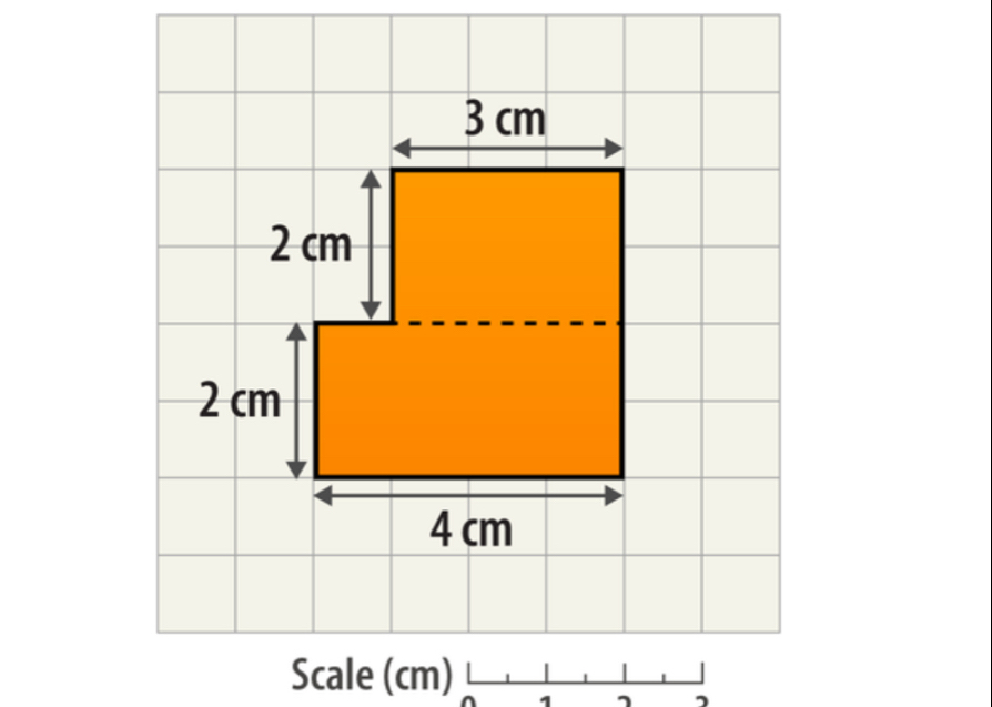 Scale (cm) 
1