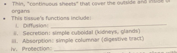 Thin, "continuous sheets" that cover the outside and inside of 
organs 
This tissue’s functions include: 
i. Diffusion: 
_ 
ii. Secretion: simple cuboidal (kidneys, glands) 
iii. Absorption: simple columnar (digestive tract) 
iv. Protection： 
_