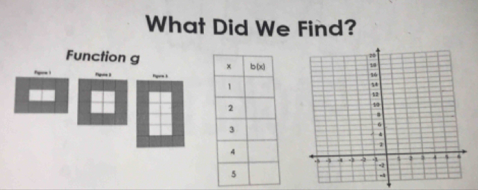 What Did We Find?
Function g
figune 3