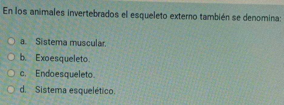 En los animales invertebrados el esqueleto externo también se denomina:
a. Sistema muscular.
b. Exoesqueleto.
c. Endoesqueleto.
d. Sistema esquelético.