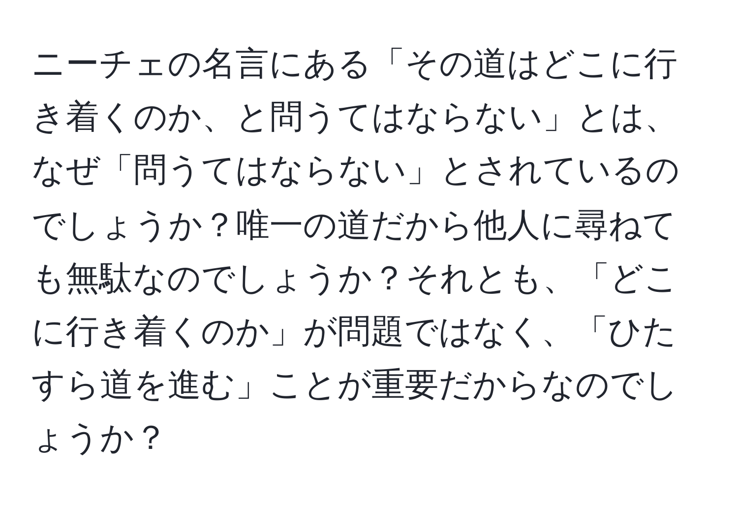 ニーチェの名言にある「その道はどこに行き着くのか、と問うてはならない」とは、なぜ「問うてはならない」とされているのでしょうか？唯一の道だから他人に尋ねても無駄なのでしょうか？それとも、「どこに行き着くのか」が問題ではなく、「ひたすら道を進む」ことが重要だからなのでしょうか？