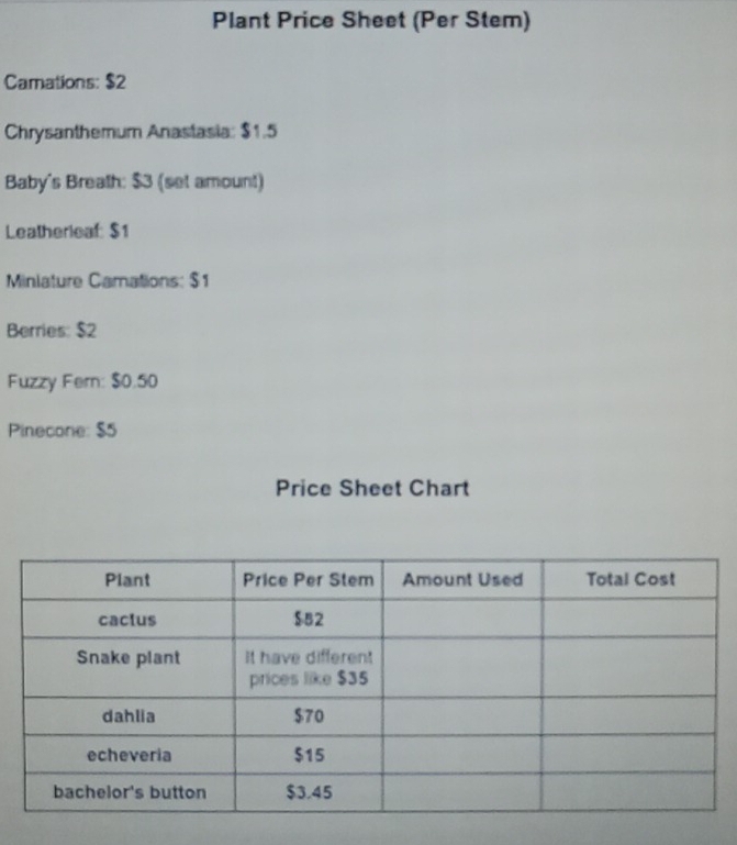 Plant Price Sheet (Per Stem) 
Camations: $2
Chrysanthemum Anastasia: $1.5
Baby's Breath: $3 (set amount) 
Leatherleaf: $1
Minlature Camations: $1
Berries: $2
Fuzzy Fer: $0.50
Pinecone: $5
Price Sheet Chart