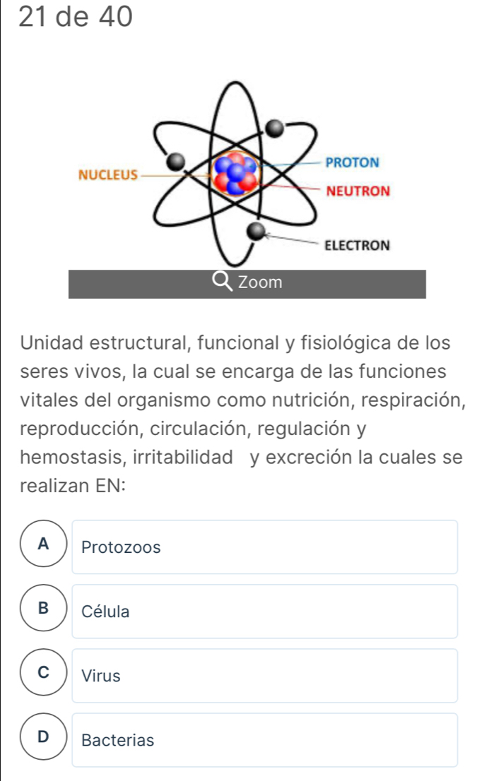 de 40
Unidad estructural, funcional y fisiológica de los
seres vivos, la cual se encarga de las funciones
vitales del organismo como nutrición, respiración,
reproducción, circulación, regulación y
hemostasis, irritabilidad y excreción la cuales se
realizan EN:
A Protozoos
B Célula
C Virus
D Bacterias