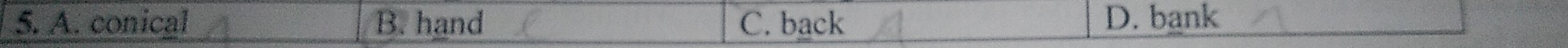 A. conical B. hand C. back D. bank