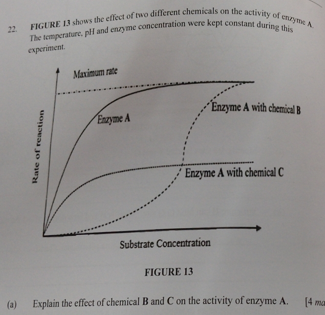 FIGURE 13 shows the effect of two different chemicals on the activity of enzyme A. 
The temperature, pH and enzyme concentration were kept constant during this 
experiment. 
FIGURE 13 
(a) Explain the effect of chemical B and C on the activity of enzyme A. [4 ma