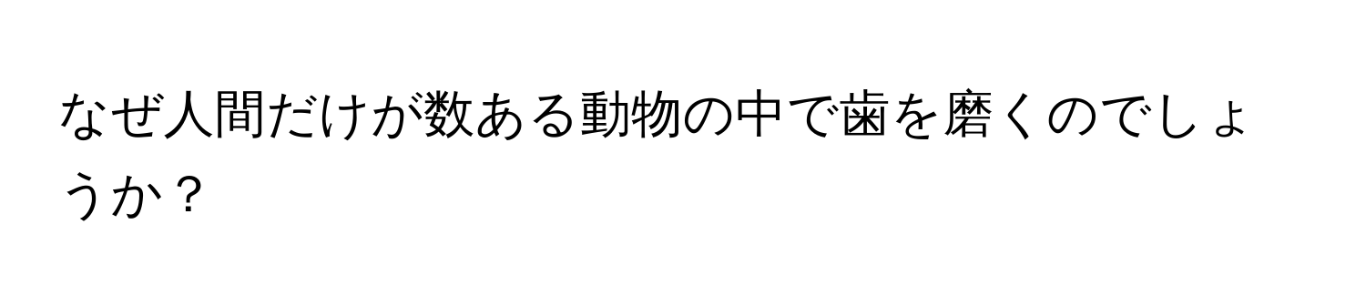 なぜ人間だけが数ある動物の中で歯を磨くのでしょうか？