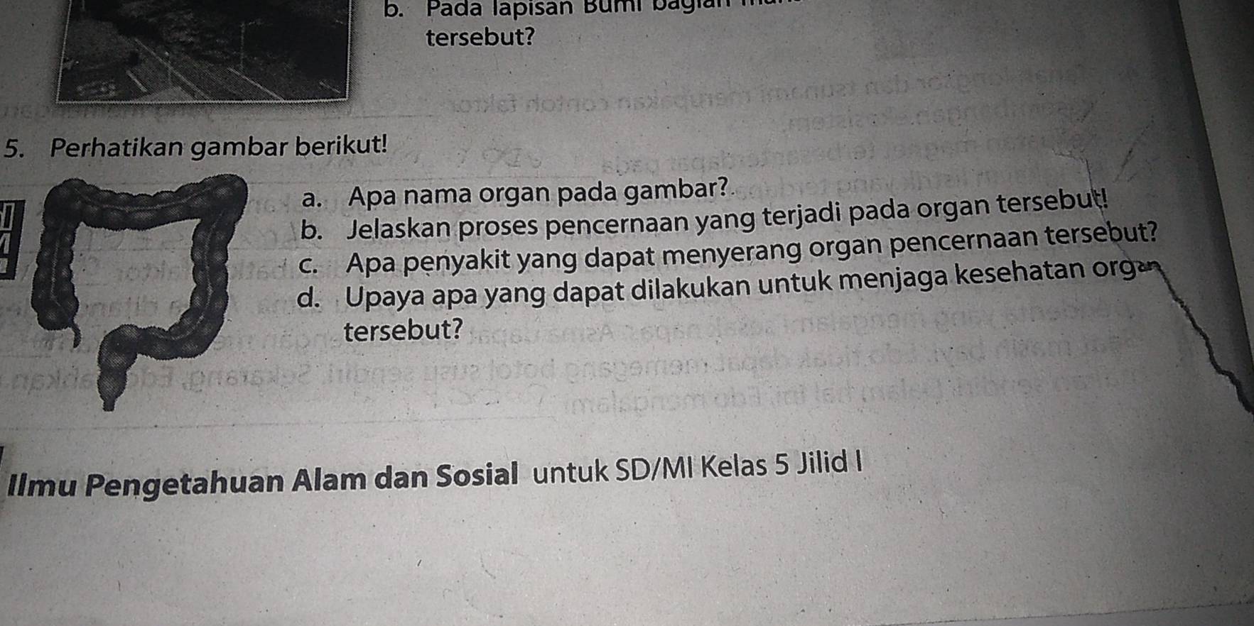 Pada Iapisan Bumi bagian 
tersebut? 
5. Perhatikan gambar berikut! 
a. Apa nama organ pada gambar? 
b. Jelaskan proses pencernaan yang terjadi pada organ tersebut! 
c. Apa penyakit yang dapat menyerang organ pencernaan tersebut? 
d. Upaya apa yang dapat dilakukan untuk menjaga kesehatan org 
tersebut? 
Ilmu Pengetahuan Alam dan Sosial untuk SD/MI Kelas 5 Jilid I