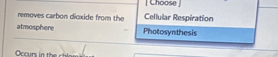 [ Choose ]
removes carbon dioxide from the Cellular Respiration
atmosphere Photosynthesis
Occurs in the chlr