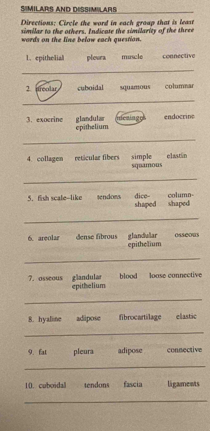 SIMILARS AND DISSIMILARS 
Directions: Circle the word in each group that is least 
similar to the others. Indicate the similarity of the three 
words on the line below each question. 
1. epithelial pleura muscle connective 
_ 
2. areolar cuboidal squamous columnar 
_ 
3. exocrine glandular meninges endocrine 
epithelium 
_ 
4. collagen reticular fibers simple elastín 
squamous 
_ 
5. fish scale-like tendons dice- column- 
shaped shaped 
_ 
6. areolar dense fibrous glandular osseous 
epithelium 
_ 
7. osseous glandular blood loose connective 
epithelium 
_ 
8. hyaline adipose fibrocartilage elastic 
_ 
9. fat pleura adipose connective 
_ 
10. cuboidal tendons fascia ligaments 
_