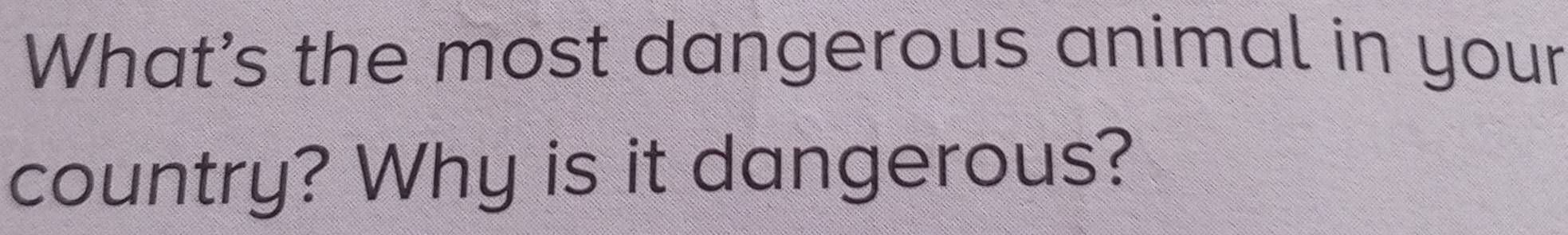 What's the most dangerous animal in your 
country? Why is it dangerous?