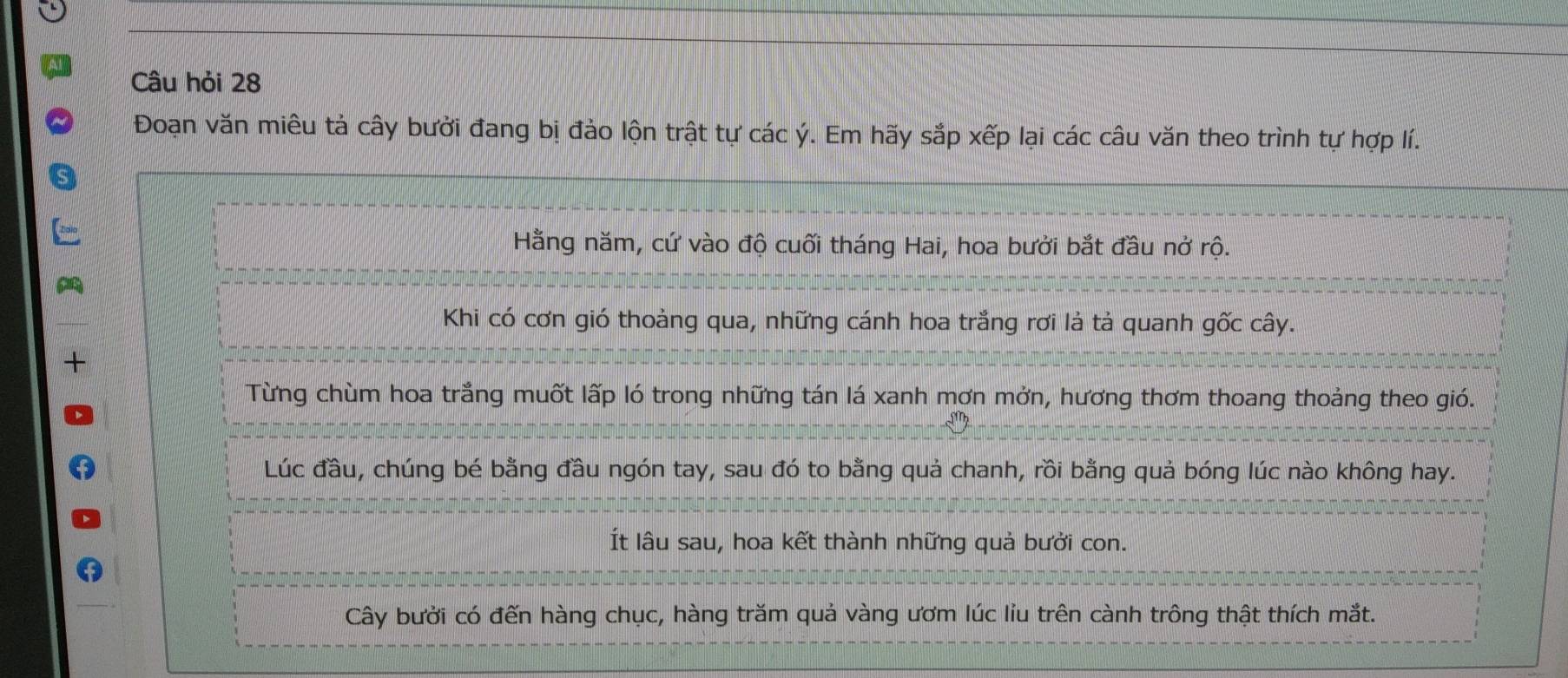 Câu hỏi 28 
Đoạn văn miêu tả cây bưởi đang bị đảo lộn trật tự các ý. Em hãy sắp xếp lại các câu văn theo trình tự hợp lí. 
Hằng năm, cứ vào độ cuối tháng Hai, hoa bưởi bắt đầu nở rộ. 
Khi có cơn gió thoảng qua, những cánh hoa trắng rơi là tả quanh gốc cây. 
Từng chùm hoa trắng muốt lấp ló trong những tán lá xanh mơn mởn, hương thơm thoang thoảng theo gió. 
Lúc đầu, chúng bé bằng đầu ngón tay, sau đó to bằng quả chanh, rồi bằng quả bóng lúc nào không hay. 
Ít lâu sau, hoa kết thành những quả bưởi con. 
Cây bưởi có đến hàng chục, hàng trăm quả vàng ươm lúc liu trên cành trông thật thích mắt.