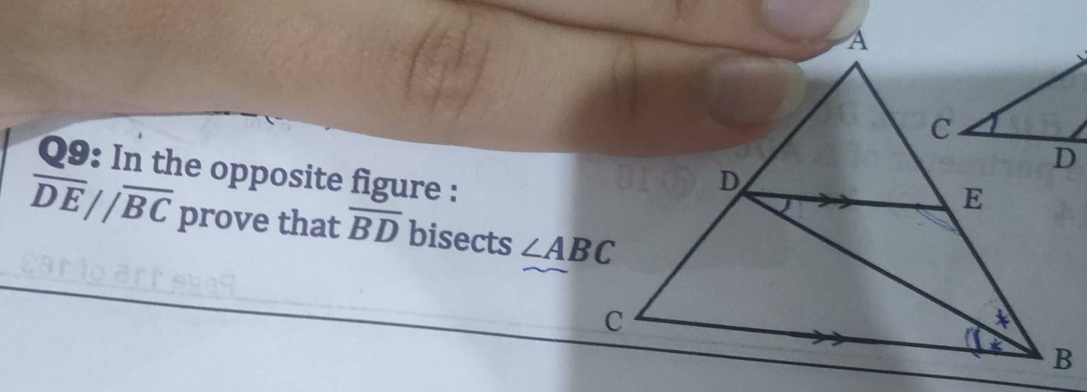 In the opposite figure :
overline DE//overline BC prove that overline BD bisects ∠ ABC