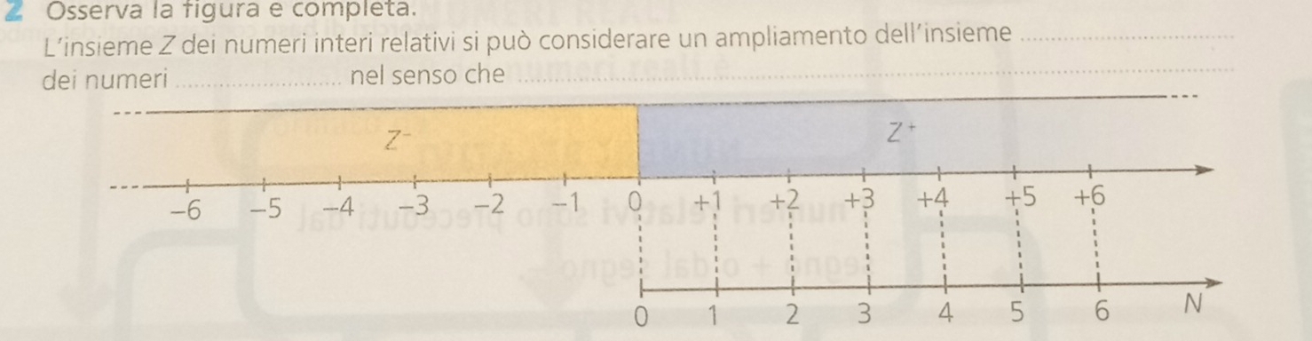 Osserva la figura e completa. 
L’insieme Z dei numeri interi relativi si può considerare un ampliamento dell’insieme_ 
dei numeri_ nel senso che_ 
_