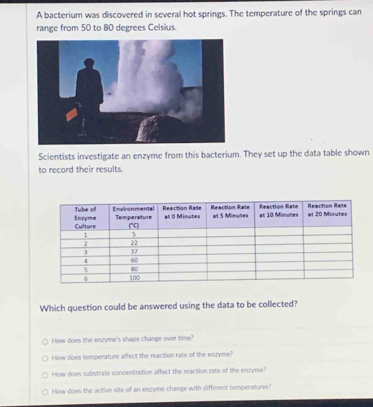 A bacterium was discovered in several hot springs. The temperature of the springs can
range from 50 to 80 degrees Celsius.
Scientists investigate an enzyme from this bacterium. They set up the data table shown
to record their results.
Which question could be answered using the data to be collected?
How does the enzyme's shape change over time?
How does temperature affect the reaction rate of the enzyme?
How does substrate concentration affect the reaction rate of the enzyme?
How does the active site of an enzyme change with different temperatures?