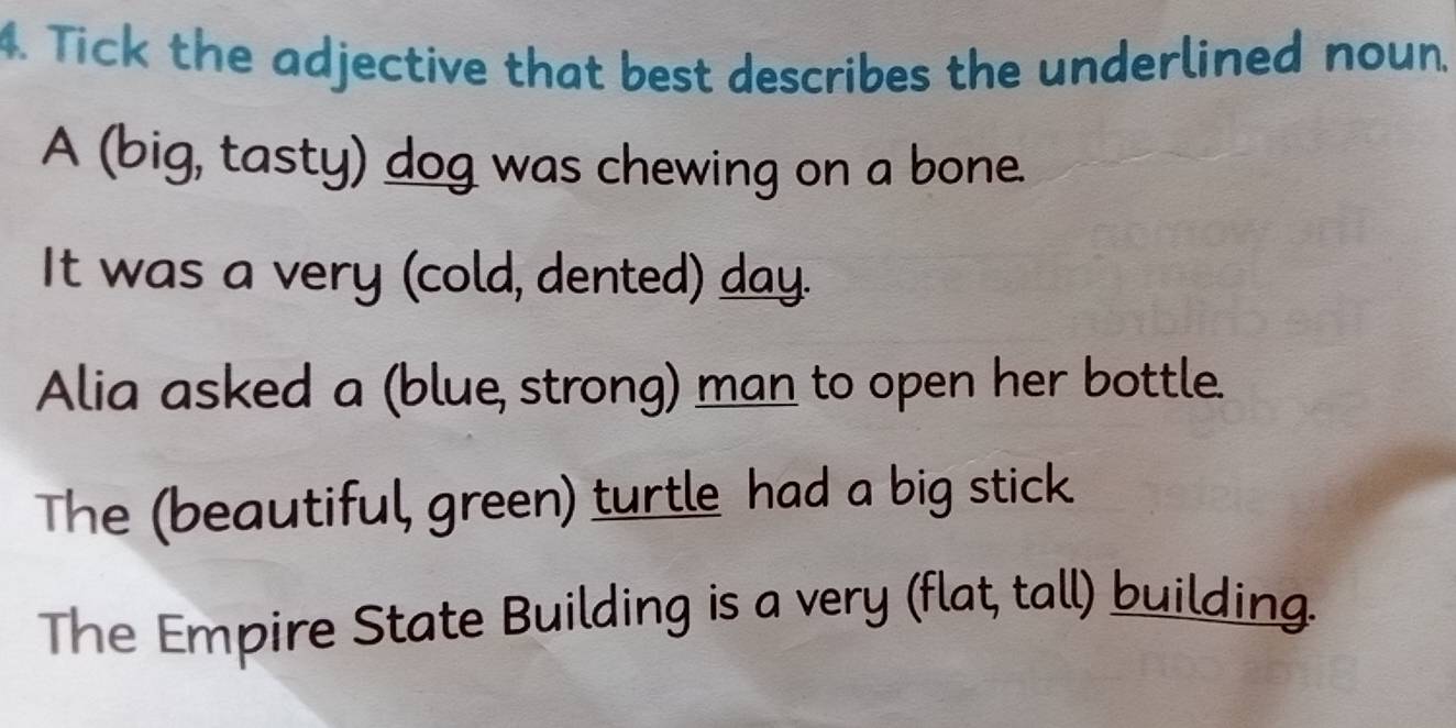 Solved: Tick the adjective that best describes the underlined noun. A ...
